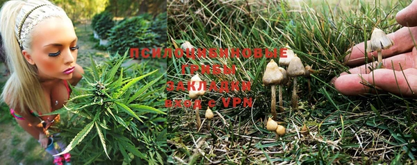 твердый Медногорск