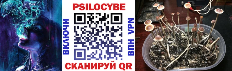 Псилоцибиновые грибы прущие грибы Таруса